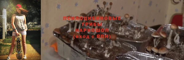 ГАЛЛЮЦИНОГЕННЫЕ ГРИБЫ Балабаново