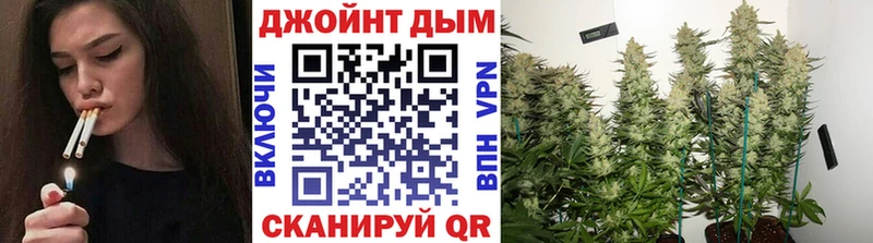 Марихуана конопля  Ржев 